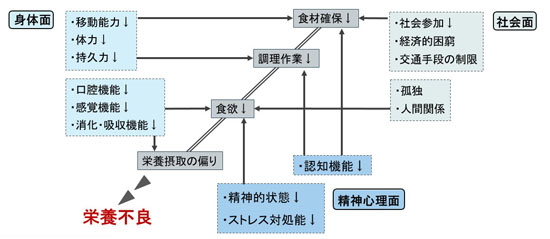 フレイルの多面的要素と食行動(図)